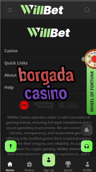 Borgada Casino - Premium Online Casino with Live Dealers-casinoorder.vip